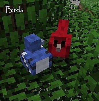 Animal-Plus-Mod-4.jpg