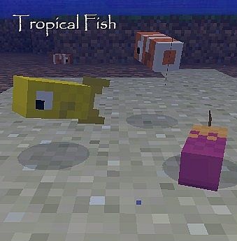 Animal-Plus-Mod-7.jpg