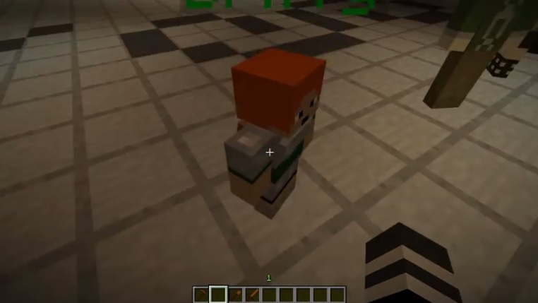 Custom NPCs Mod 1