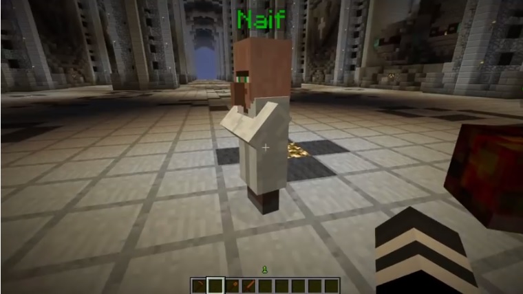 Custom NPCs Mod 2