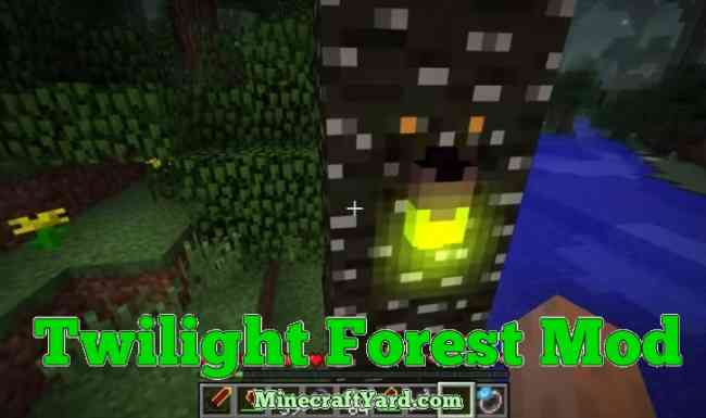     Twilight Forest -  9