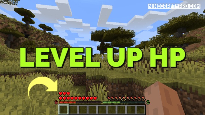 Level Up Hp 1 18 2 1 17 1 1 16 5 1 15 2 Increase Hp Minecraft